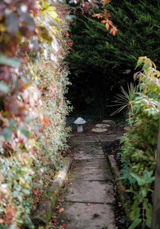 The Cottage @ Burkedale House Corofin  외부 사진