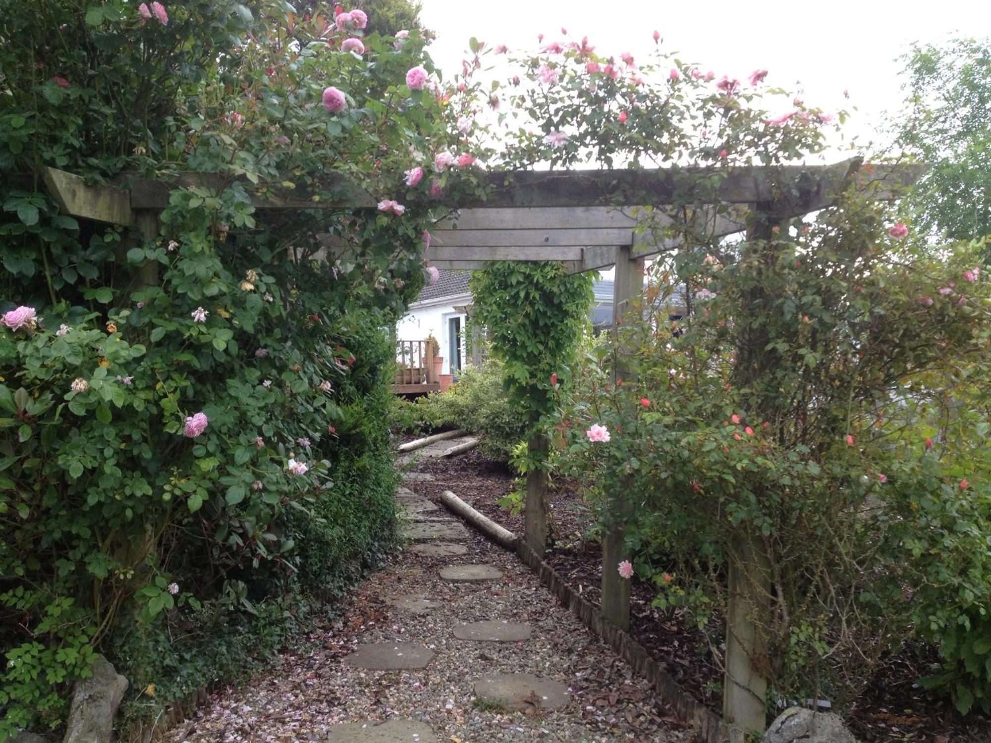 The Cottage @ Burkedale House Corofin  외부 사진